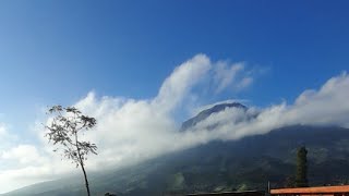 Live Pemandangan Gunung Sindoro