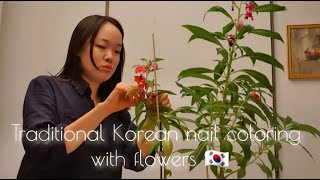 Traditional Korean nail coloring with flowers 봉선화 물들이기