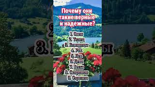 Верные и надежные  #гороскоп #гороскопы #астрология #знакизодиака #психология #таро