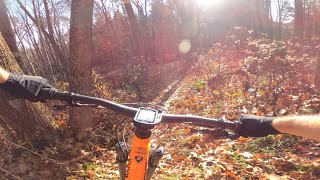 Leaf Surfing At The Local MTB Trails