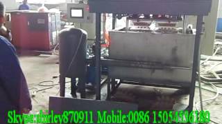 small capacity egg box making machine