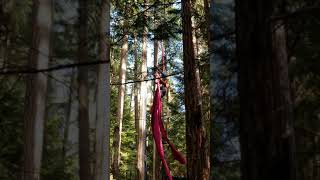 Aerial portion of Rainforest Circus performance near Powell River Recreation Complex