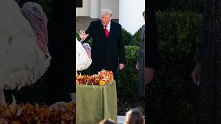 President Trump Pardons the National Thanksgiving Turkey. #Thanksgiving