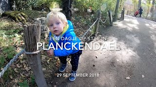 Planckendael - September 2018