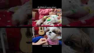 뜨개하며독서_30 #강아지뜨개옷 #뜨개 #vlog #shorts