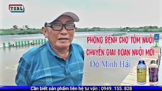 Phòng bệnh cho tôm nuôi giai đoạn 2