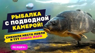 Мы в ШОКЕ от УВИДЕННОГО! РЫБАЛКА с ПОДВОДНОЙ КАМЕРОЙ! под водой #1