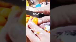 تخليل الكيمكوات اليابانيه## من هم يم للطبخ ##