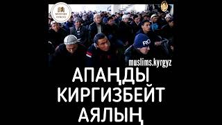 Апаңды киргизбейт аялың. Субханаллах | шейх Чубак ажы