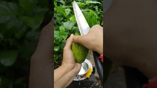 satisfying mango cutting #villagelife #mango #trending #best #fruit #fruitcutting #yammy #amazing