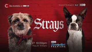 HBO Asia - Saturday Night Premiere: Strays (2023) Promo (July 27, 2024)