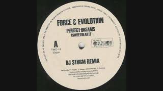 Force & Evolution   Perfect Dreams Sweetheart DJ Storm Remix