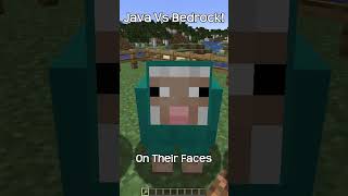 All Minecraft Java Sheep Have White Faces!