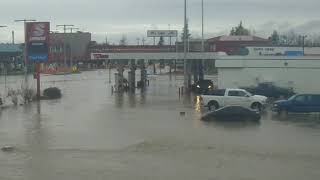 Sumas flood 2nd day 01