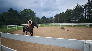 Cantering Dolly at New Barn #horse #dressage #equestrianriding #equestrian #horsebackriding #jumping