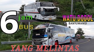 TIDAK SEPERTI BIASANYA!!! Kini Banyak Bus Yang Tidak Jalan || Hunting Bus Di Banyuwangi Utara