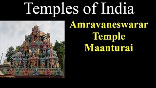 Amravaneswarar Temple | Maanturai Amravaneswarar Temple | Manthurai Temple