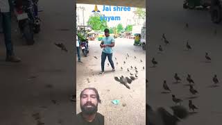 🙏sabhi ko jai shree shyam #ilovebird💕 bohat hi adbhut dirisay hi #priya #shorts #viral #youtubevedio