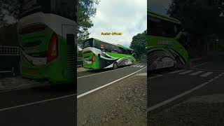 telolet Basuri bus sahabat #viral #teloletbus #buspariwisata #bustunggaljaya #busmania #shorts