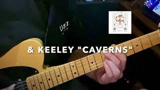 Dive Into the Keeley & Walrus Reverb Fusion