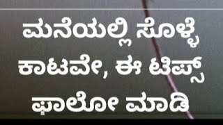 ನಿಮ್ಮ ಮನೆಯಲ್ಲಿ ಸೊಳ್ಳೆಗಳು, ನೊಣಗಳ ಕಾಟವೇ,? ಹೀಗೆ ಮಾಡಿ ಶಾಶ್ವತವಾಗಿ ದೂರ ಹೋಗುತ್ತವೆ.#rvrkannadachannel