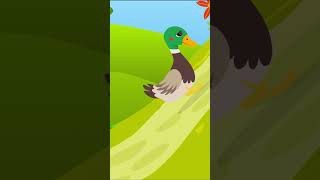 🐤🐤  Five Little Ducks : Part 5 | Kids Rhyme | #fish  #ducksong