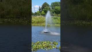 Waterfall at Premium Outlets