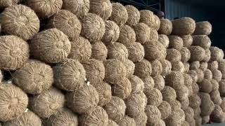 COCONUT FIBER COIR LOG FROM BLUE LOTUS VIETNAM