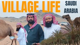 Most attractive Village Side in Saudi Arabia | قرية السعودية | Camel Farm in Saudi Arabia