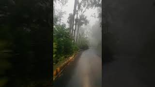 Yercaud drive