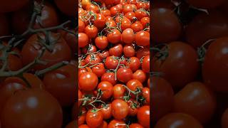 Turkey tomato 🍅 in saudi Riyadh market #middleeast #shorts #food #viral SAJU AHMAD