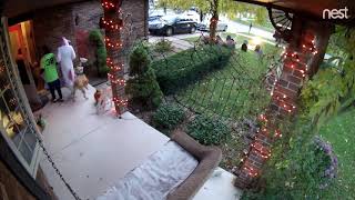 Halloween 2018 Timelapse