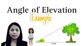 Angle of Elevation | Trigonometry | Trigonometric Ratios