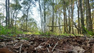 Krazy Kayakers - Thetford to St Helens Kayaking