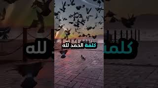 أنواع الناس في هذه الحياة #أقوال_واقتباسات_وحِكمْ #خواطر_للعقول_الراقية #أقوال_أعجبتني #حكم #لايك