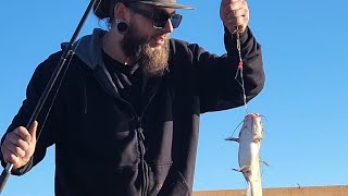 Catching a hungry channel catfish #fishing #catfish #lake #funny #fyp