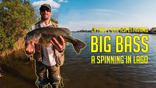 la fase 2 che aspettavamo - BIG BASS A SPINNING IN LAGO!