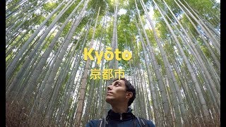 Bamboo Grove, Monkey Park and Kinkaku-ji in Kyoto (Day 9) - Japan Trip