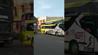 Bis INDORENT unicorn | Yogyakarta - Jakarta #bismaniacomunity #videoshort