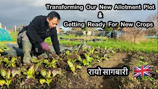 Giant Mustard Green | Growing Organic Rayo Saag in UK | Getting Allotment Ready | Nepali Family UK