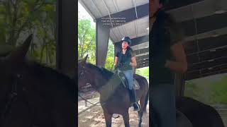 Do you look like your pet?🦮😽🐴 #youtube #shorts #horse #horseriding #pets #pet