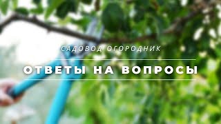 Ответы на вопросы подписчиков