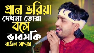 প্রান ভরিয়া দেখনা তোরা। বাউল সাদ্দাম। নতুন গান ২০২৪