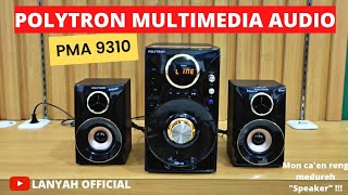 Review Speaker Polytron PMA 9310