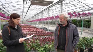 Azienda Menci Giuseppe di Castiglion Fiorentino (Ar) Utilizzazione delle biomasse vegetali - AIDA