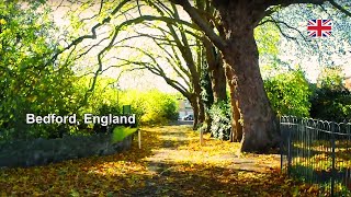 Bedford Park England | Great River Ouse with Swans, Ducks and Coots