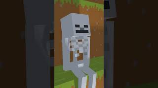 Hero Skeleton - Minecraft Animation #shorts