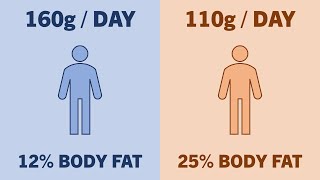 How to Individualise Protein Intake for Muscle Growth