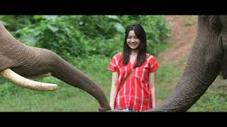 Elephant Sanctuary - Chiang Mai, Thailand.