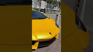 Lamborghini Aventador Lp700-4 spotted in Tampa #lamborghini #ferrari #bmw #porsche #shorts